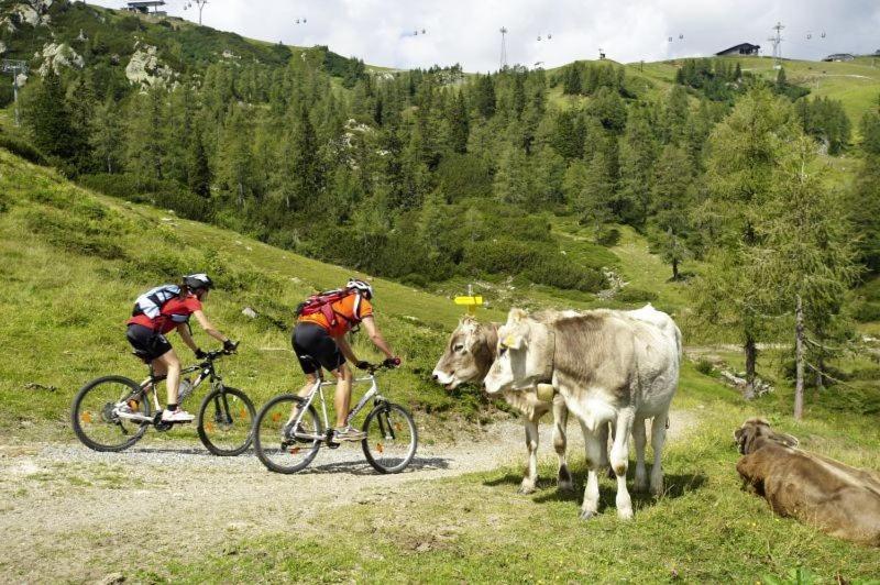 Ferienwohnung Salburg, Sonnleitn Hermagor-Pressegger See Esterno foto